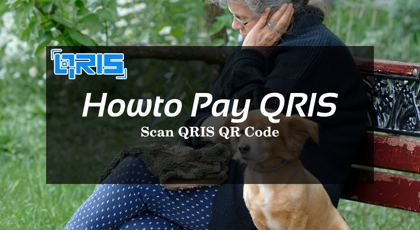 QRIS Payment Guide